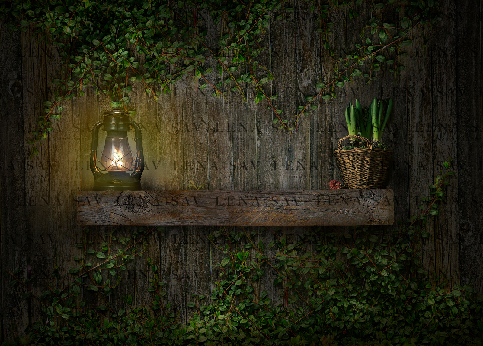 Digital backdrop Garden shelf